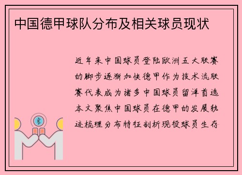 中国德甲球队分布及相关球员现状